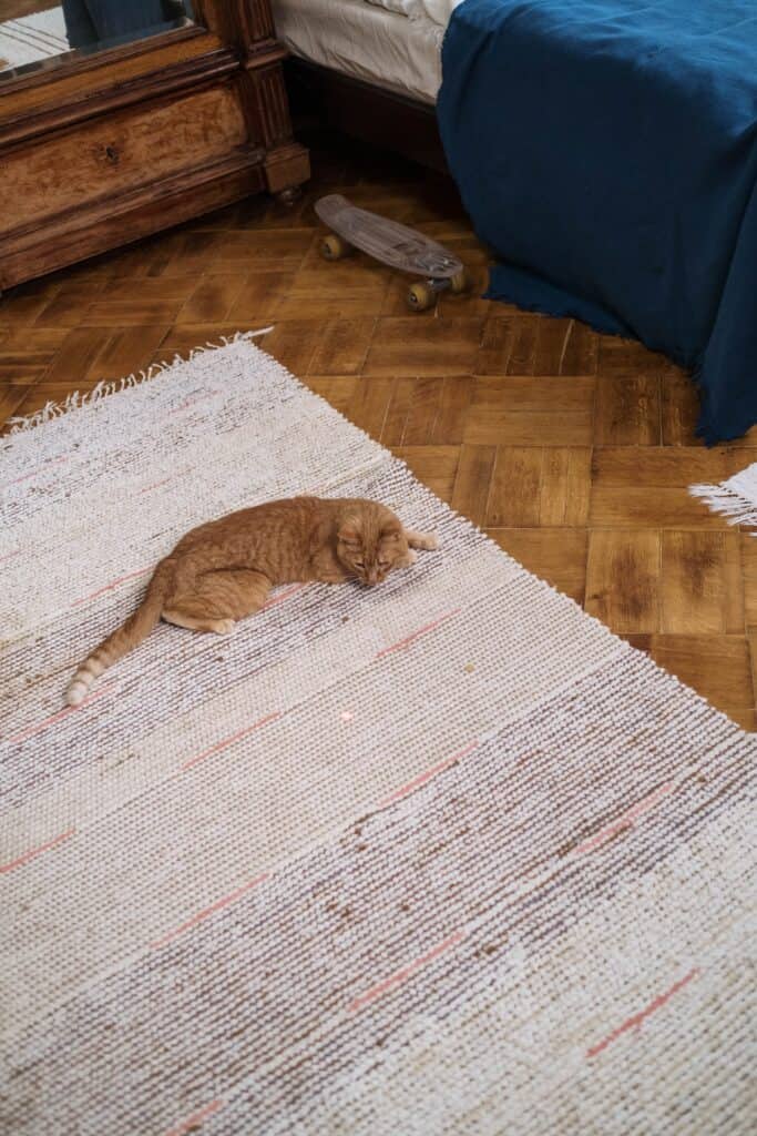 This is last image of bedroom rugs article