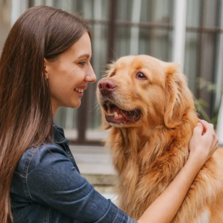 This is first image of can dogs be your therapist article